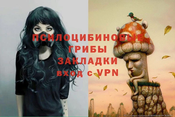 экстази Баксан