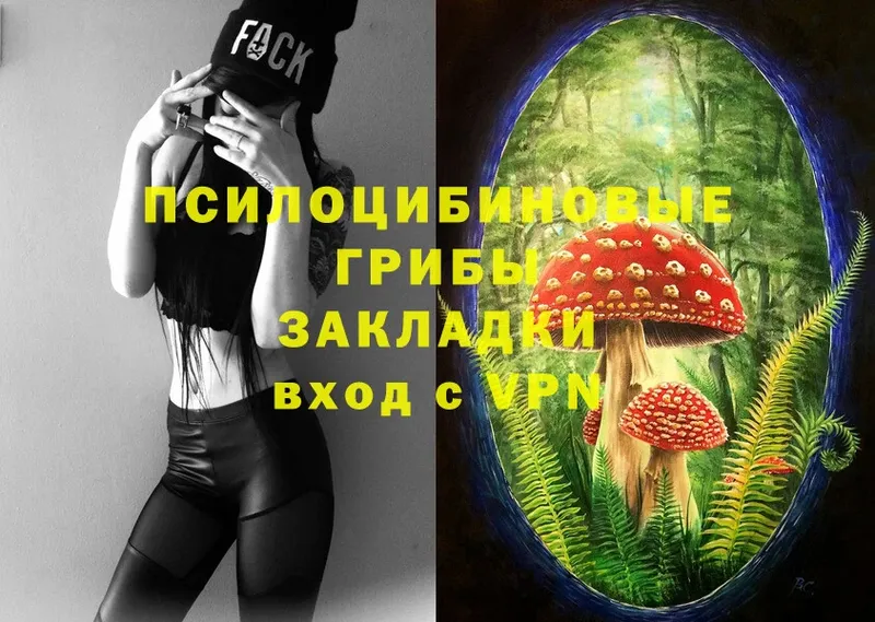 Псилоцибиновые грибы Magic Shrooms  Дно 